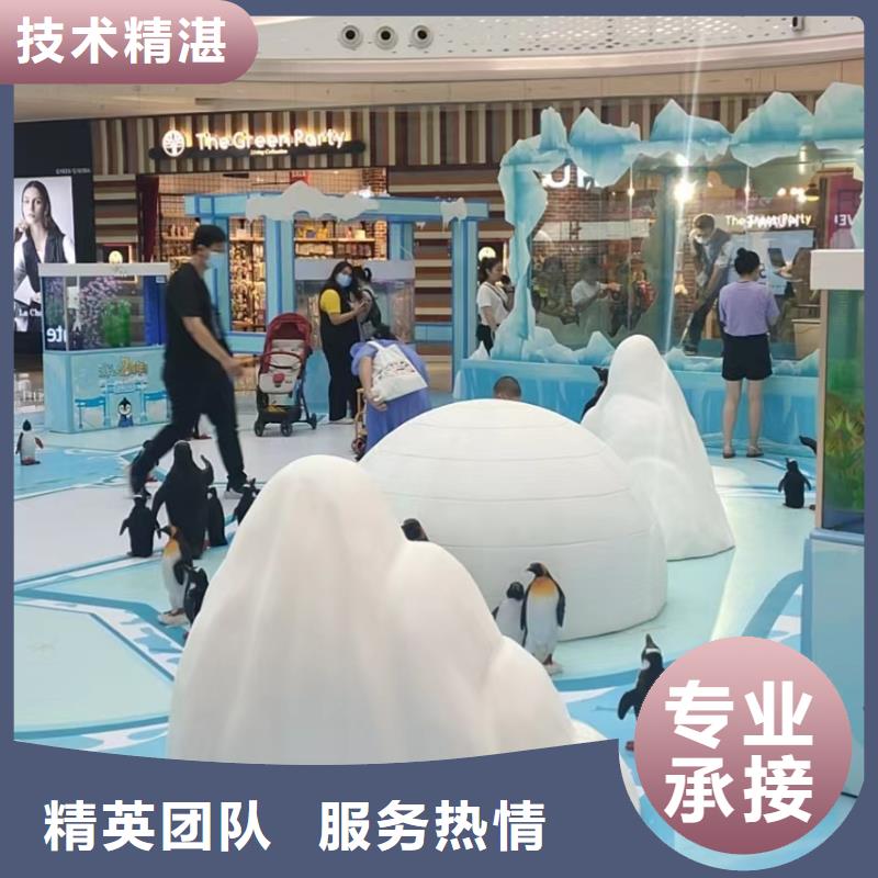 海洋主题动物表演-【出租表演鹦鹉】24小时为您服务
