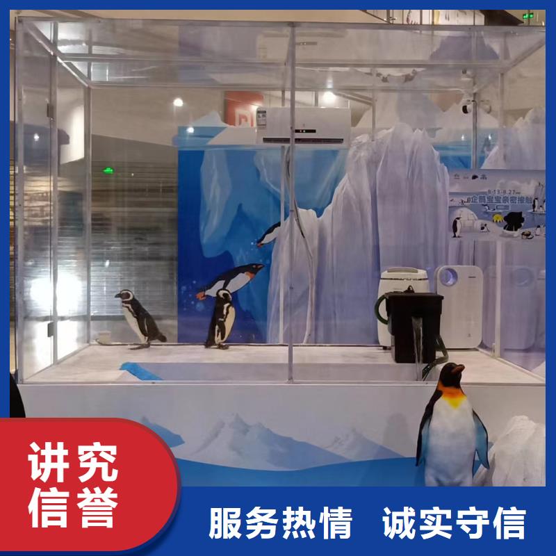 海洋主题动物表演_商场马戏表演出租良好口碑