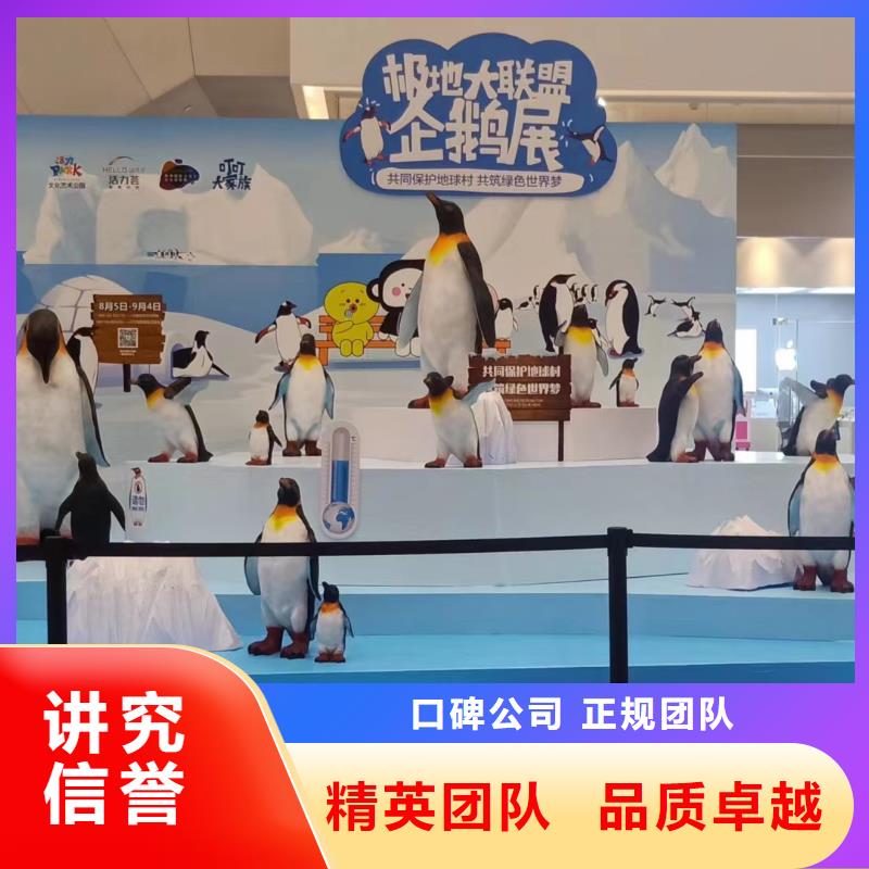 【海洋主题动物表演】,动物表演出租服务周到