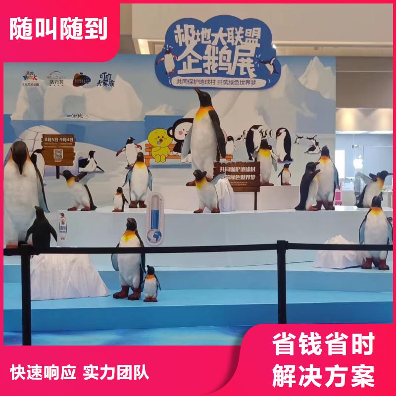海洋主题动物表演出租马戏表演专业公司
