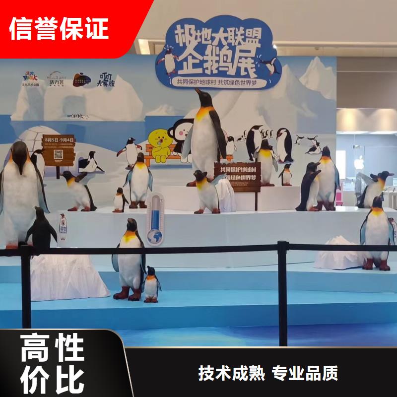 海洋主题动物表演马戏团表演多年行业经验