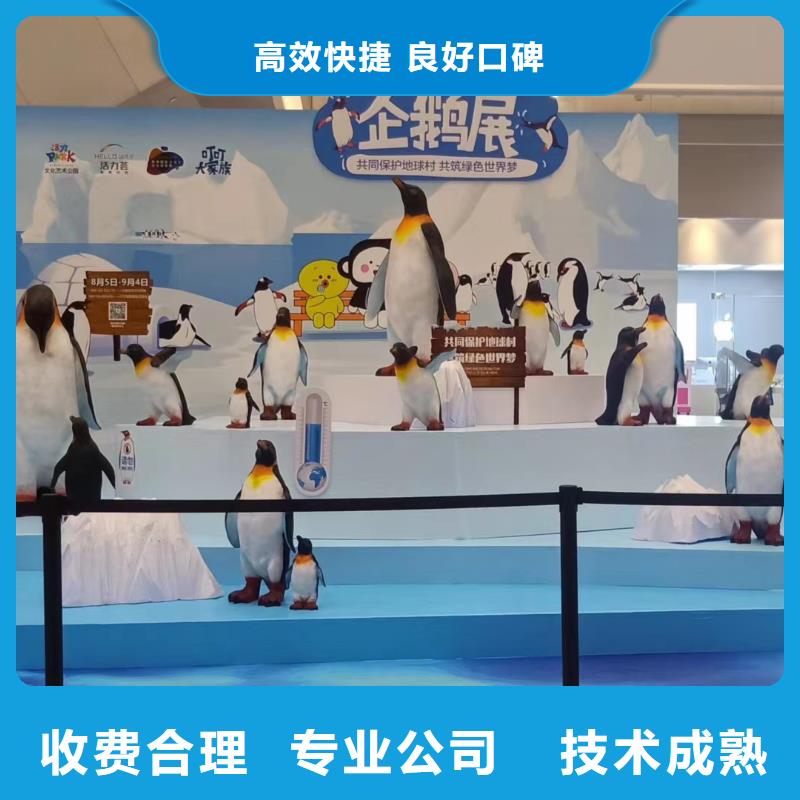 海洋主题动物表演马戏表演知名公司