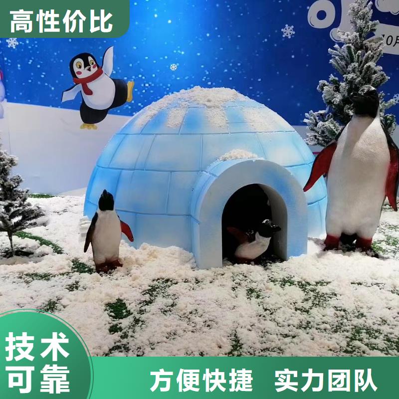 海洋主题动物表演鹦鹉表演租赁正规
