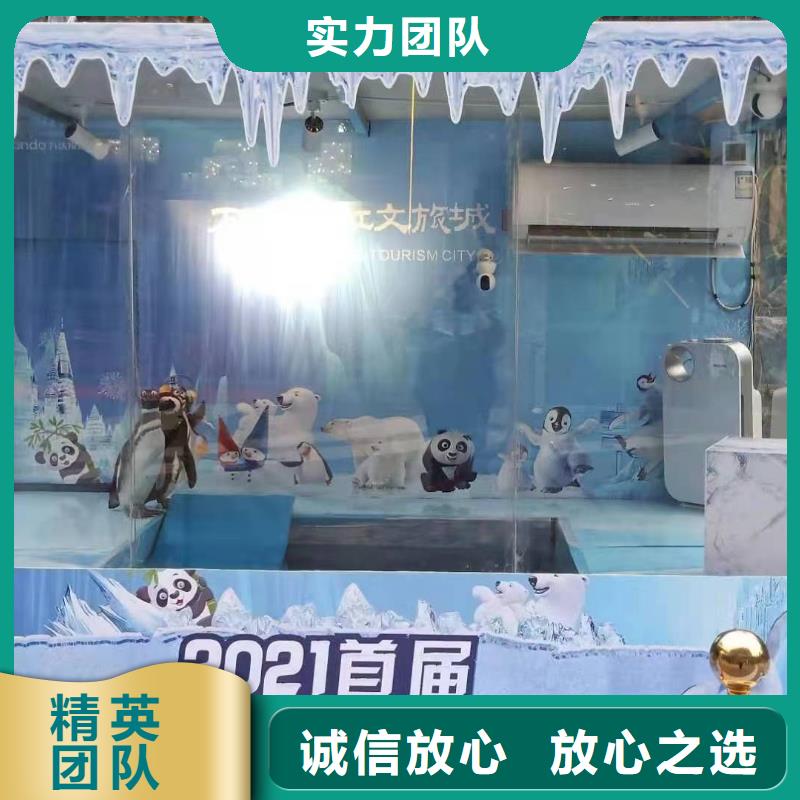 海洋主题动物表演,【出租表演鹦鹉】正规团队