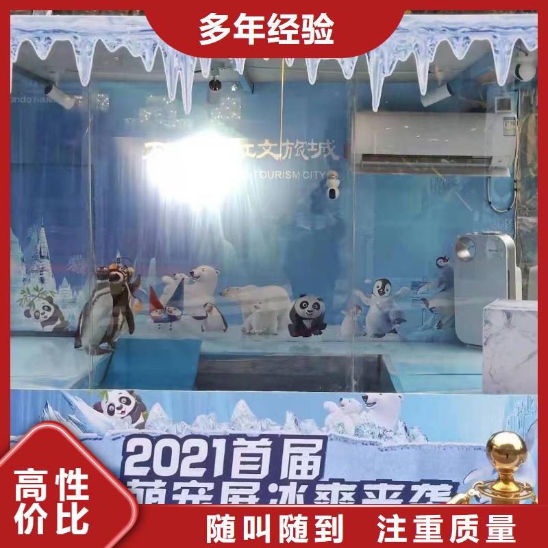 海洋主题动物表演【出租企鹅表演】值得信赖