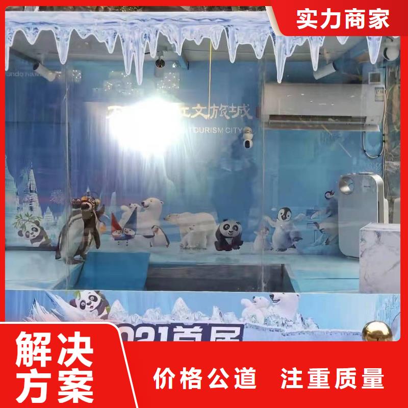 海洋主题动物表演-鹦鹉表演2025专业的团队