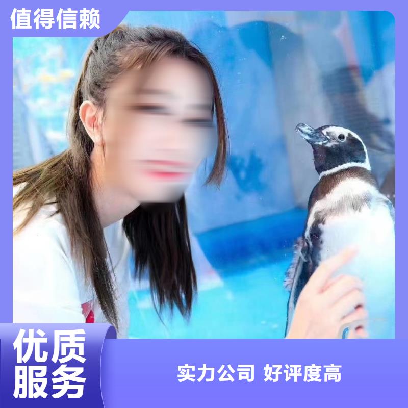 海洋主题动物表演-鹦鹉表演2025专业的团队