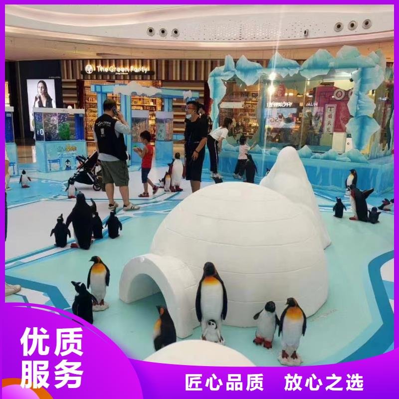海洋主题动物表演,【出租表演鹦鹉】正规团队