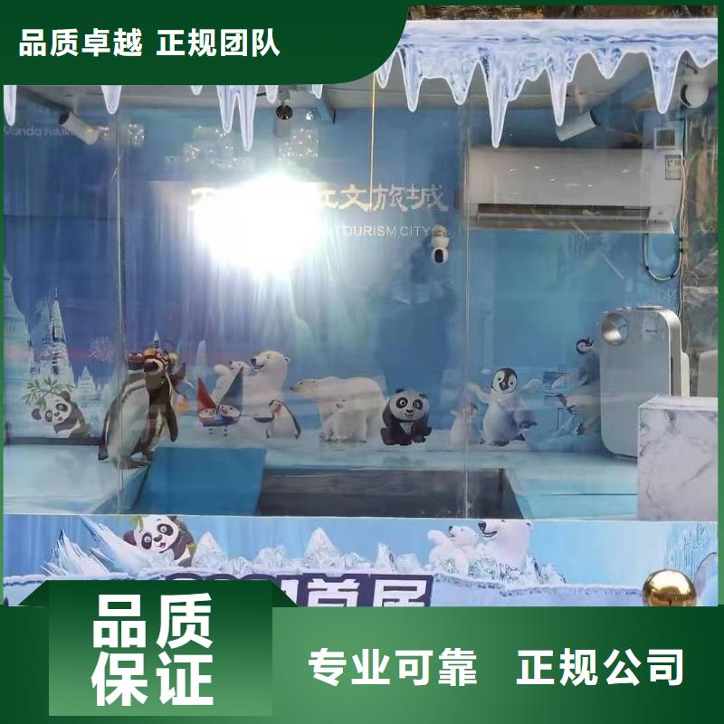 【海洋主题动物表演】美人鱼表演出租欢迎询价