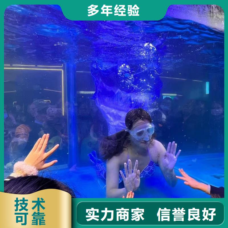 【海洋主题动物表演】杂技表演放心