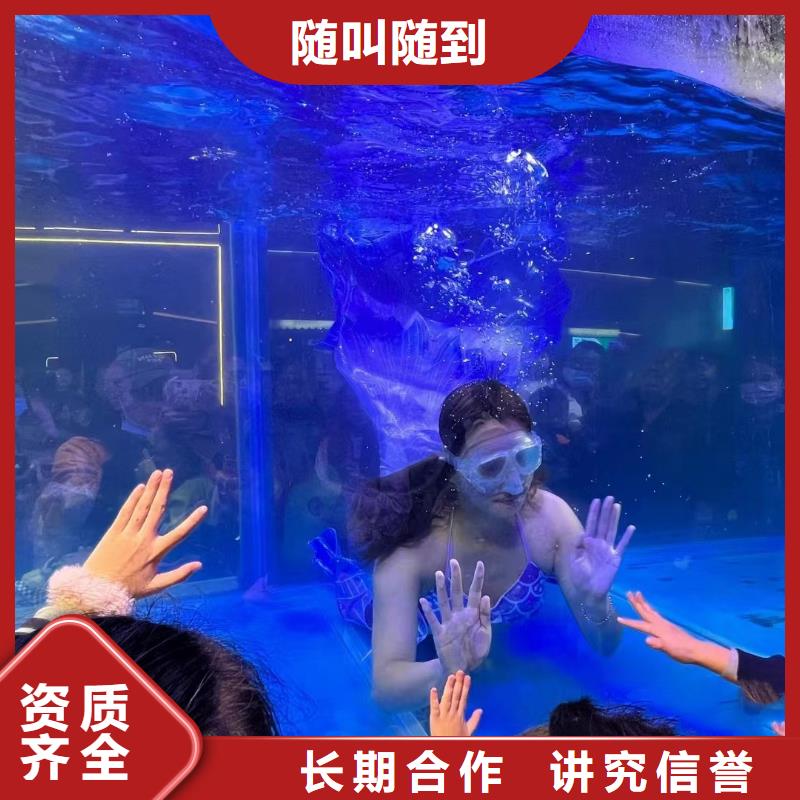 海洋主题动物表演动物表演租赁24小时为您服务