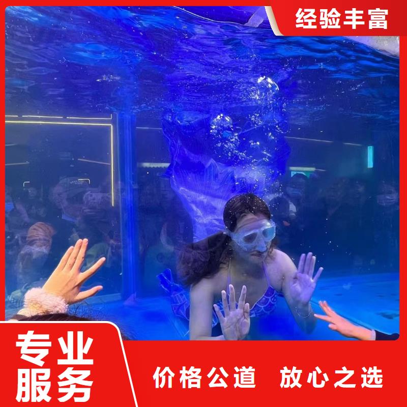 【海洋主题动物表演】 羊驼表演专业服务