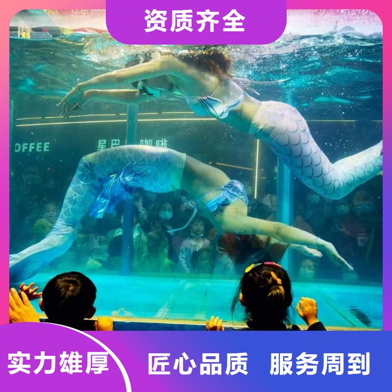 海洋主题动物表演 海洋展租赁2025公司精心