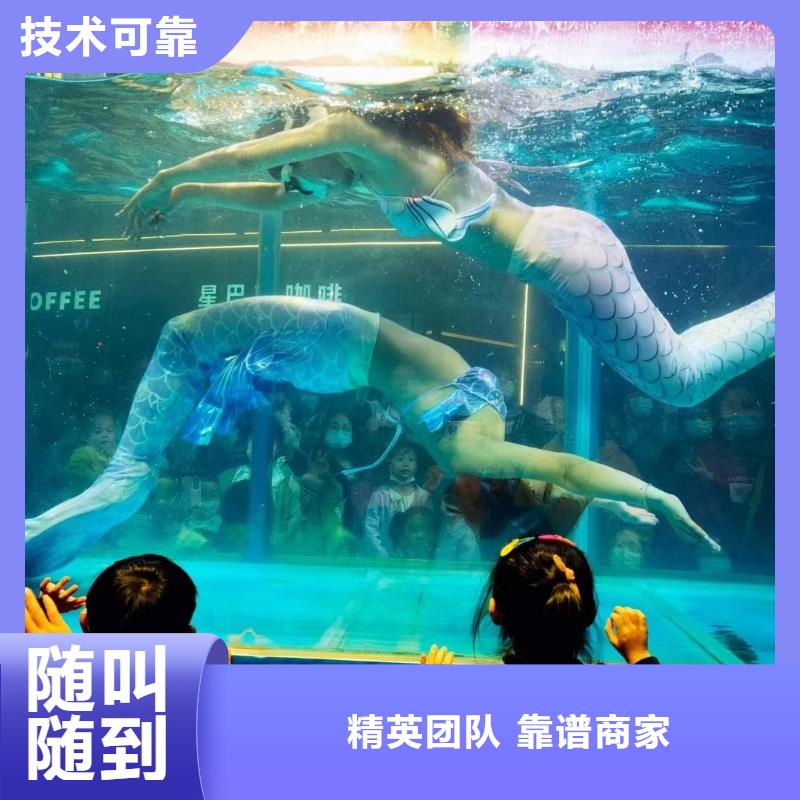 海洋主题动物表演羊驼出租解决方案
