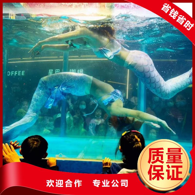 海洋主题动物表演景区杂技表演专业