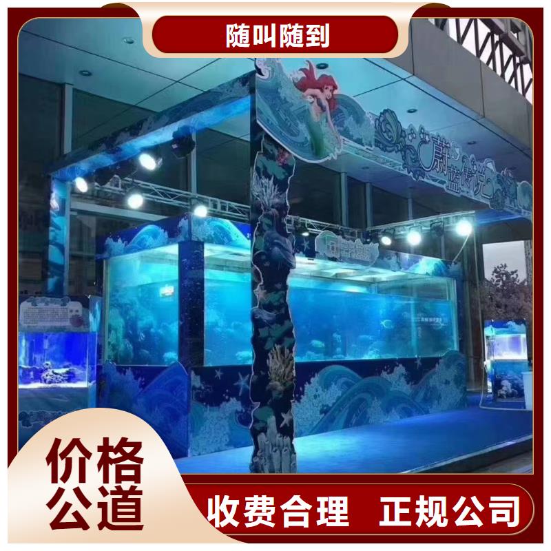 【海洋主题动物表演】_【海狮表演租赁】靠谱商家