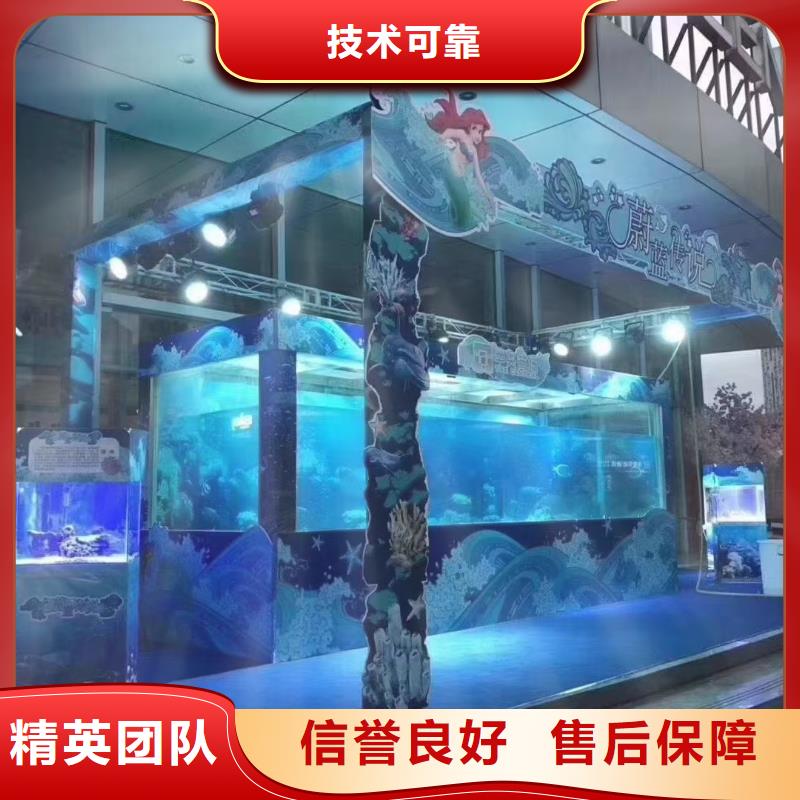海洋主题动物表演出租海狮表演专业