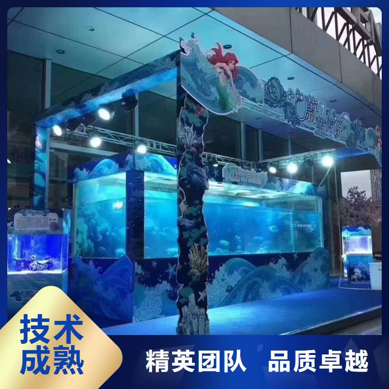 【海洋主题动物表演】杂技表演放心