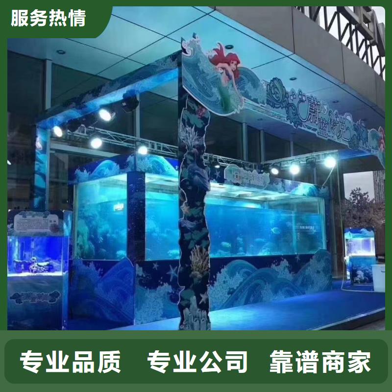 【海洋主题动物表演】美人鱼表演出租欢迎询价