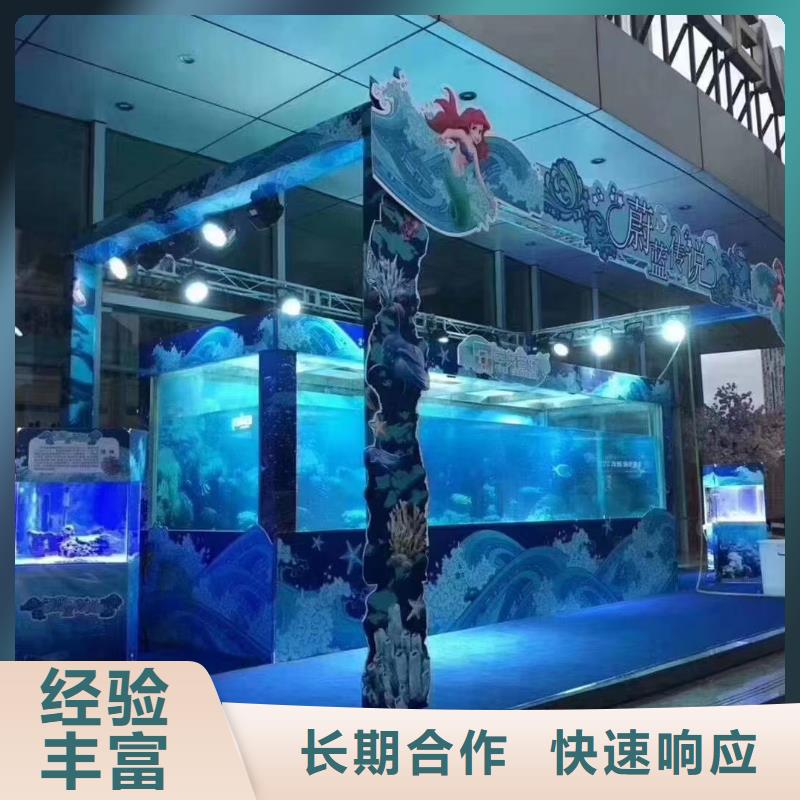 海洋主题动物表演 【出租企鹅表演】信誉良好