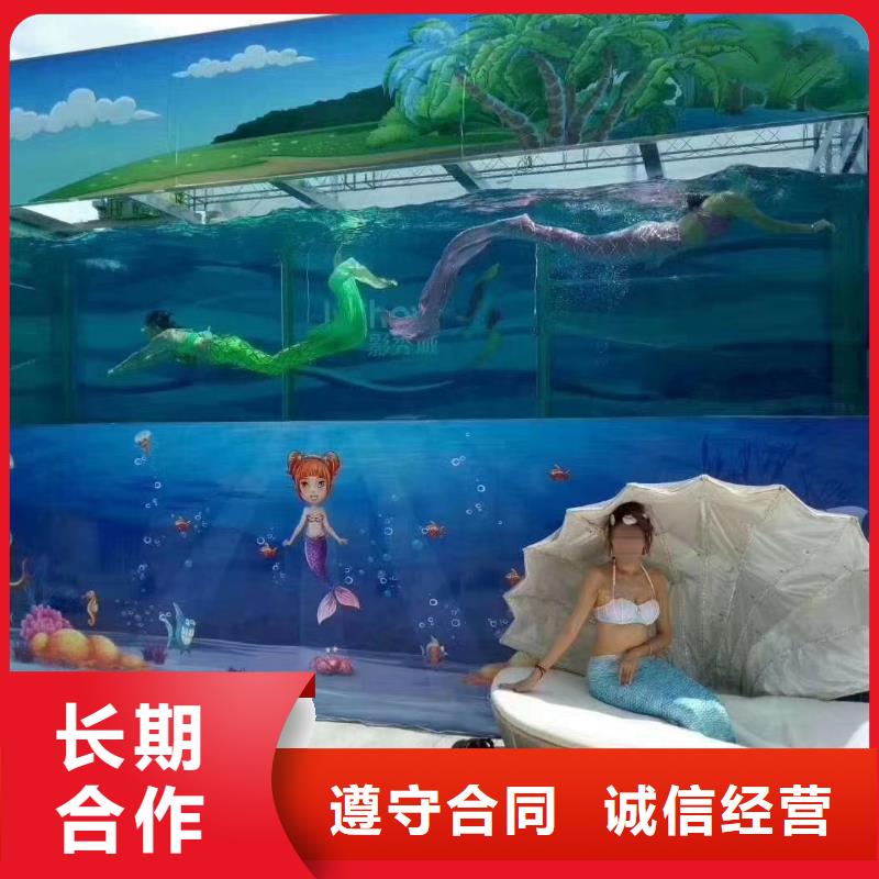 海洋主题动物表演 【海豚表演】实力公司