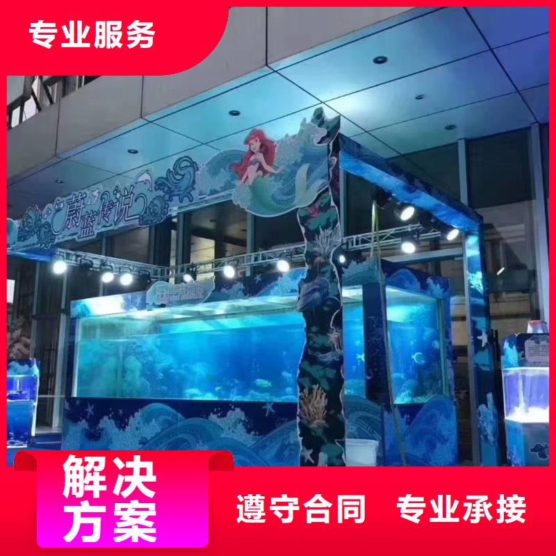 【海洋主题动物表演】 羊驼表演专业服务