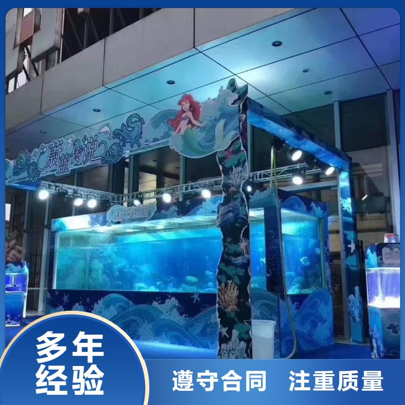 海洋主题动物表演【出租表演海狮】全市24小时服务