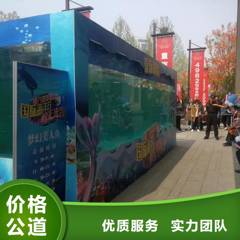 海洋主题动物表演出租企鹅从业经验丰富