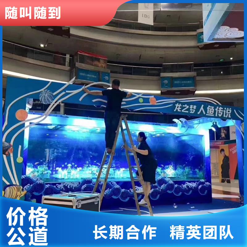海洋主题动物表演出租马戏表演快速