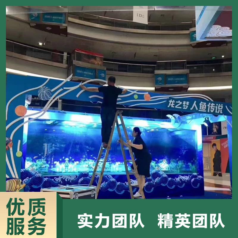海洋主题动物表演,美人鱼表演放心