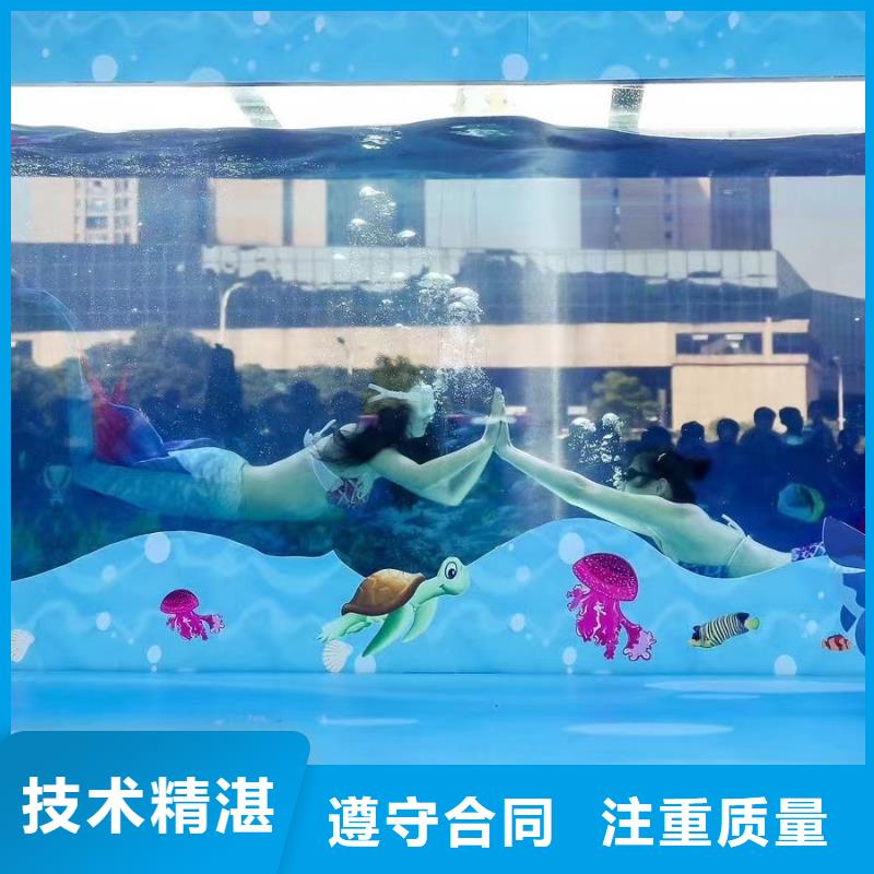 海洋主题动物表演,马戏团出租 从业经验丰富