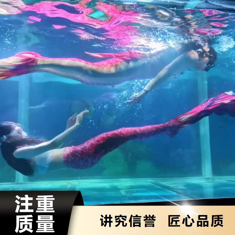 海洋主题动物表演【企鹅演出】全市24小时服务
