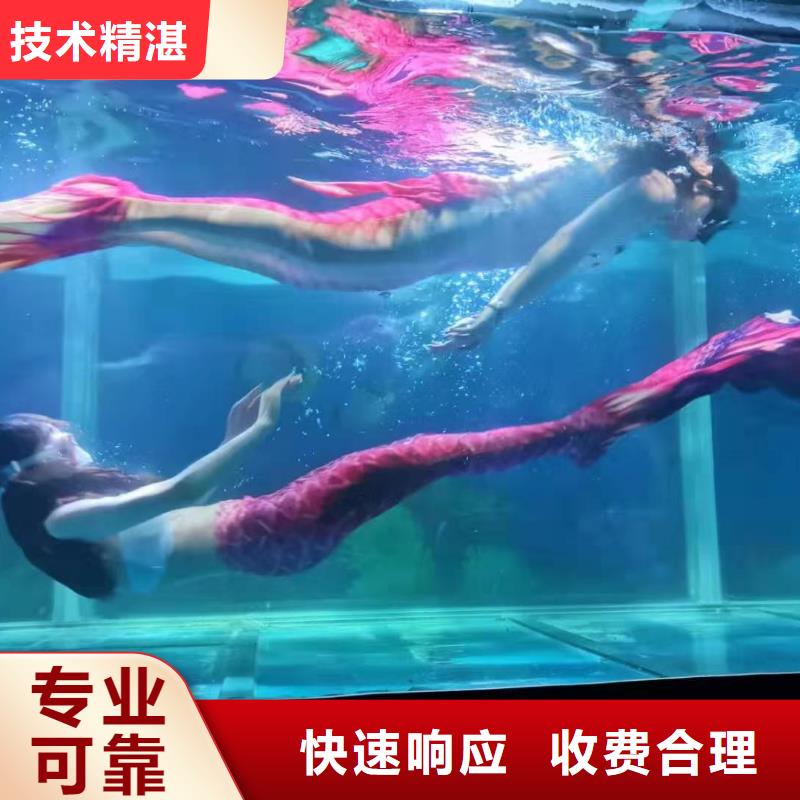 海洋主题动物表演-环球飞车表演出租高性价比