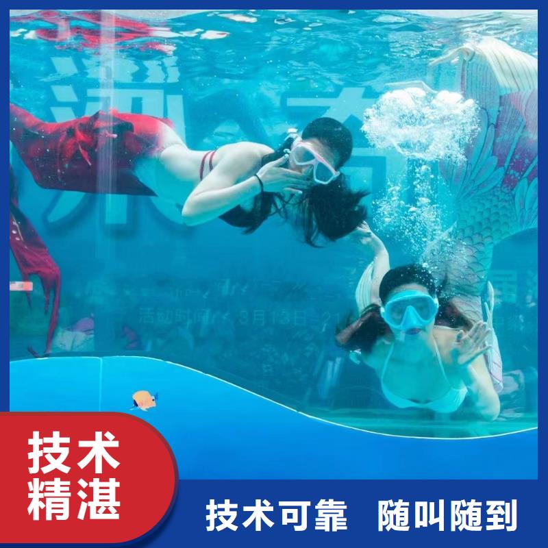 海洋主题动物表演表演动物出租公司