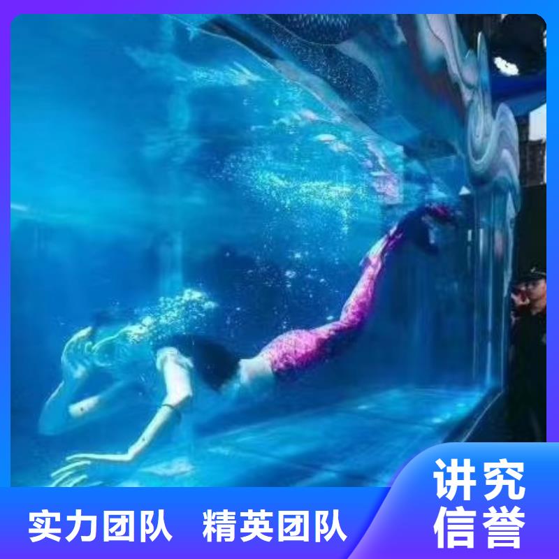 海洋主题动物表演马戏团表演出租租赁品质卓越