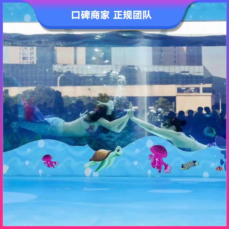 【海洋主题动物表演】_【海狮表演租赁】靠谱商家