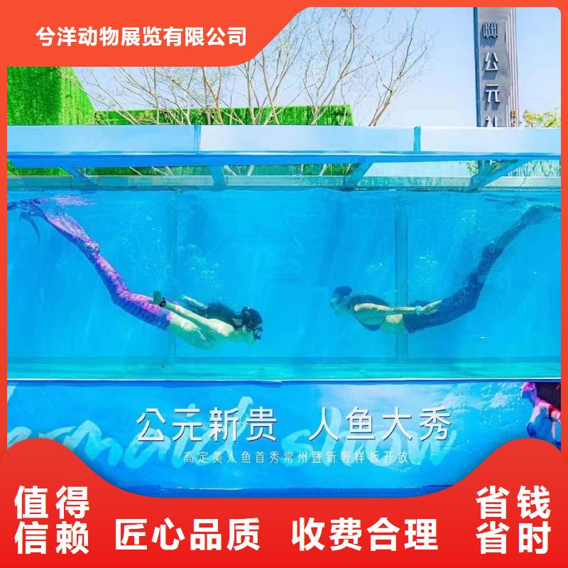 【海洋主题动物表演】 表演动物出租诚信经营
