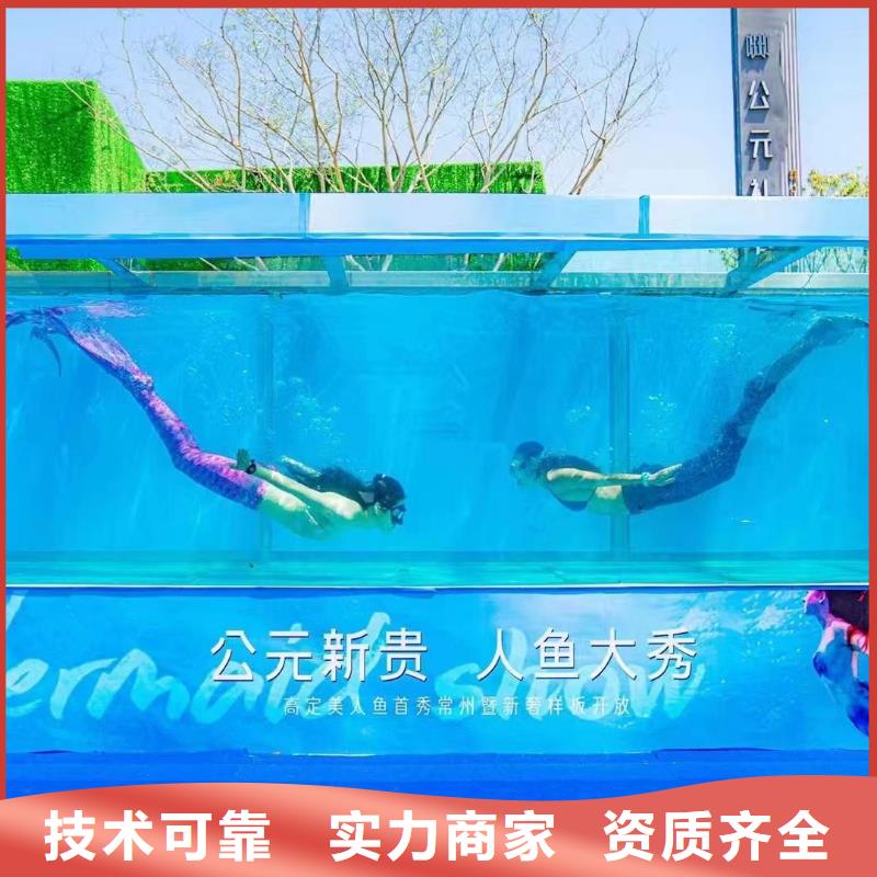 海洋主题动物表演-鹦鹉表演2025专业的团队
