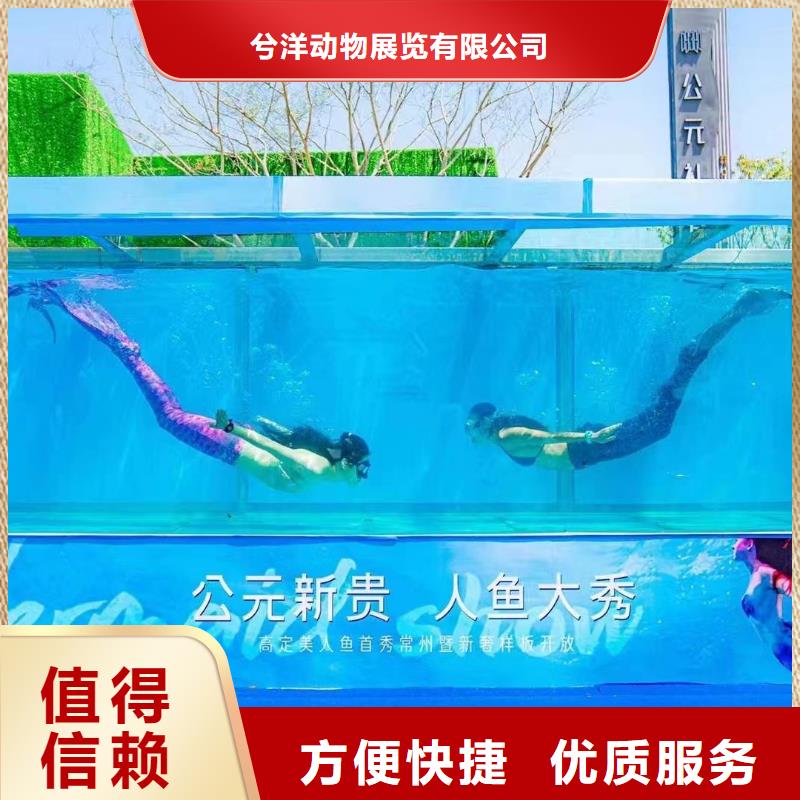 海洋主题动物表演-【马戏团表演出租租赁】欢迎合作