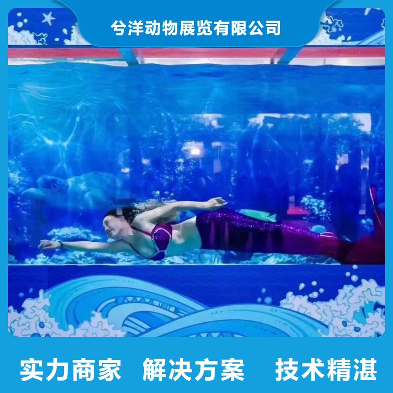 吉祥百鸟展视频-吉祥百鸟展_甘肃省张掖市市场覆盖甘州|临泽|平凉|定西|陇南|甘南|临夏|金昌等