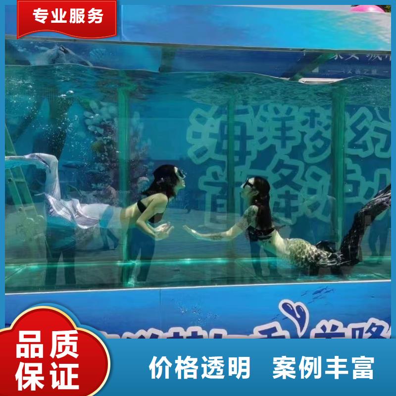 海洋主题动物表演【马戏团表演出租租赁】信誉保证