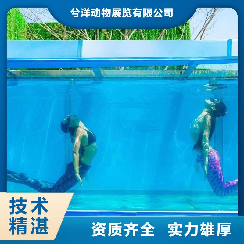 海洋主题动物表演萌宠动物展出租价格美丽