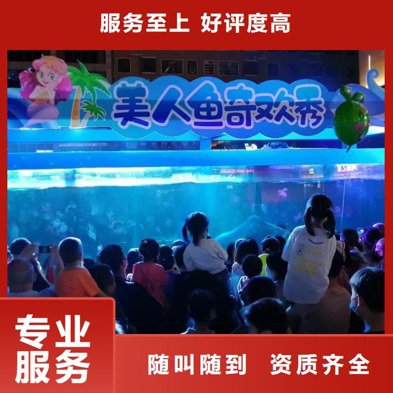 海洋主题动物表演出租海狮表演专业