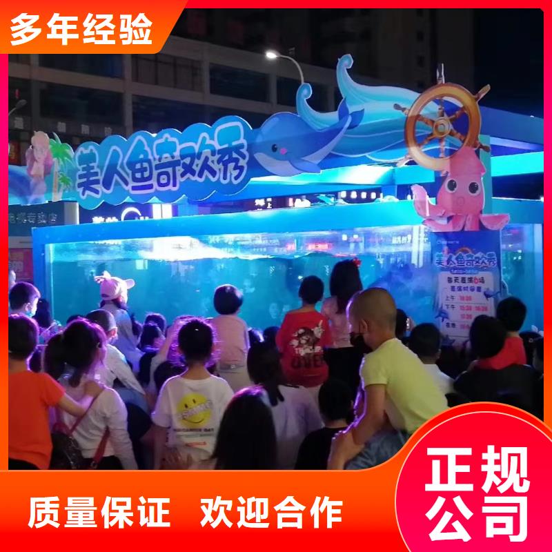 海洋主题动物表演 企鹅租赁质优价廉