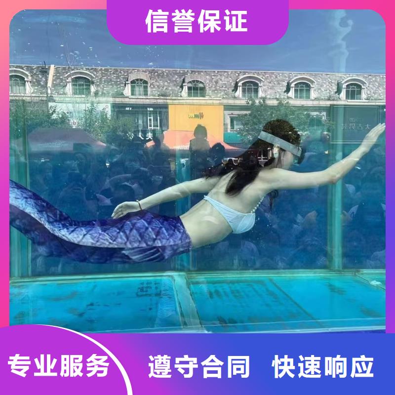 海洋主题动物表演_驯兽表演技术好