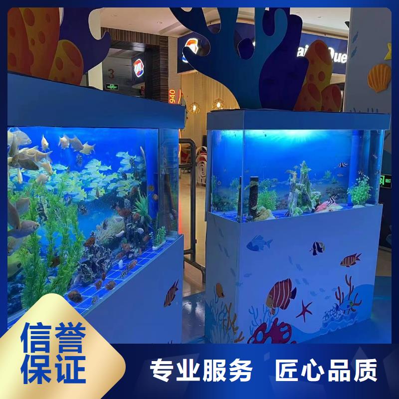 海洋主题动物表演-美人鱼表演方便快捷