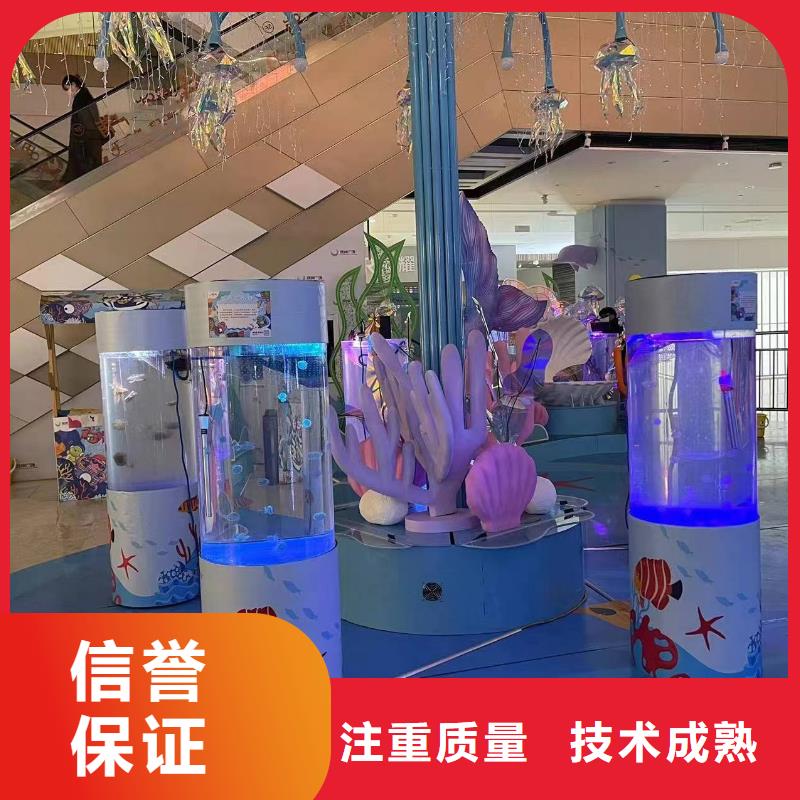海洋主题动物表演死轮表演案例丰富