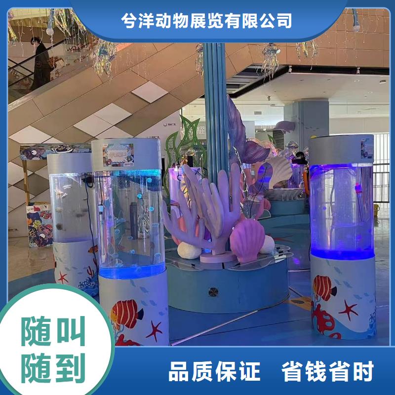 吉祥百鸟展视频-吉祥百鸟展|河南省开封市|杞县|龙亭|驻马店|南阳|信阳|商丘|濮阳|安阳