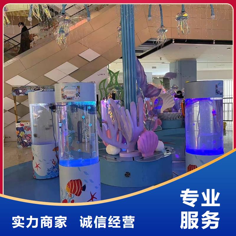 海洋主题动物表演草泥马羊驼租赁正规