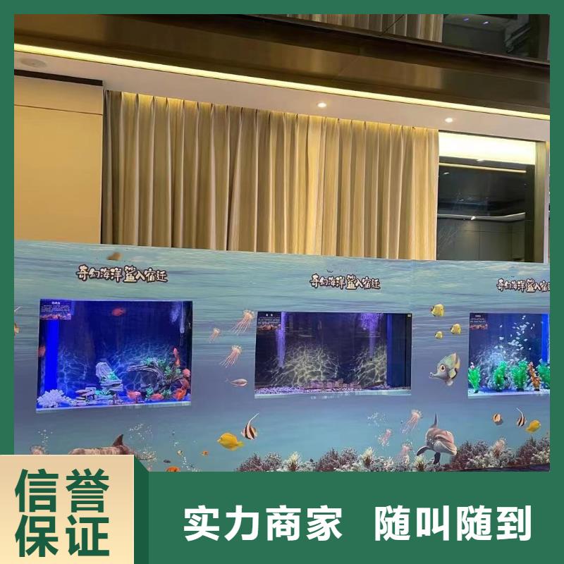 【海洋主题动物表演】海洋展租赁一站式服务